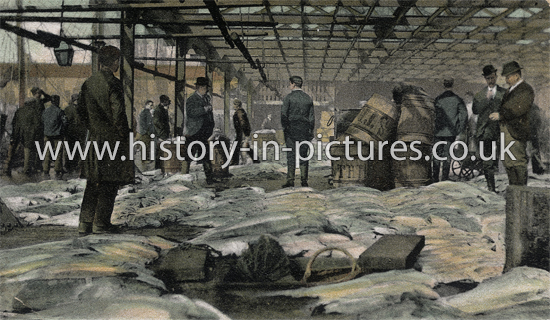 Fish Market on The Pontoon, Grimsby, Lincs. 1910